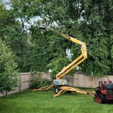 Landscape Design and Installation in South Jordan, UT